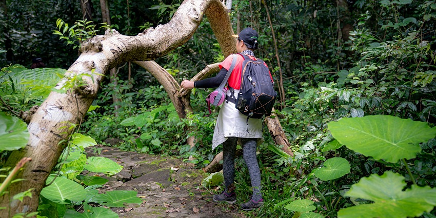 Go trekking through the lush jungles as it is one of the adventurous things to do in Neil Island