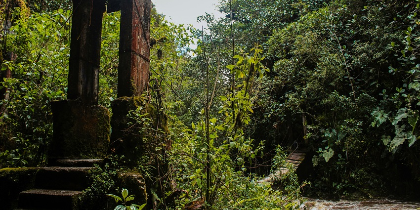 Jungle trekking is one of the most exciting things to do in Kozhippara Waterfalls.