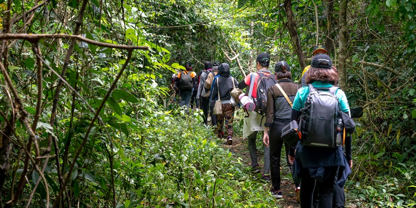 Hike through the biodiverse & dense forests of the Jolly Buoy Island in Andaman & Nicobar