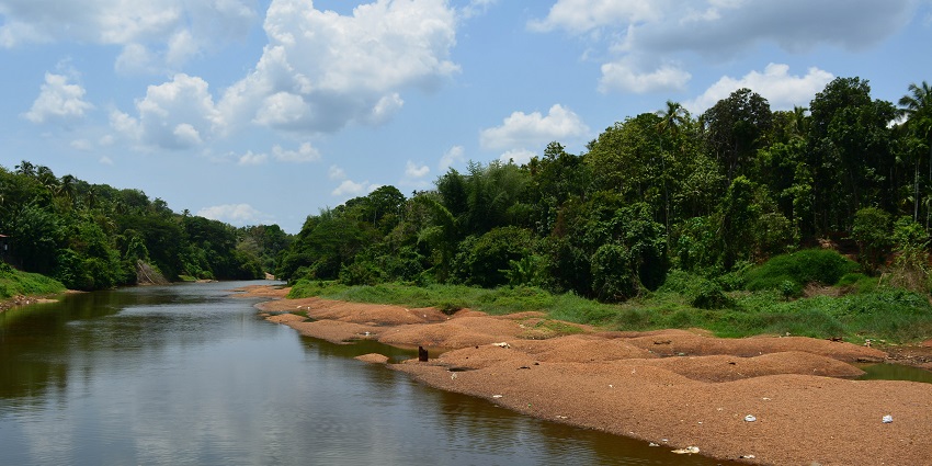 Lush green landscapes of Anakkyam, one of the places to visit in Athirapally, Kerala.