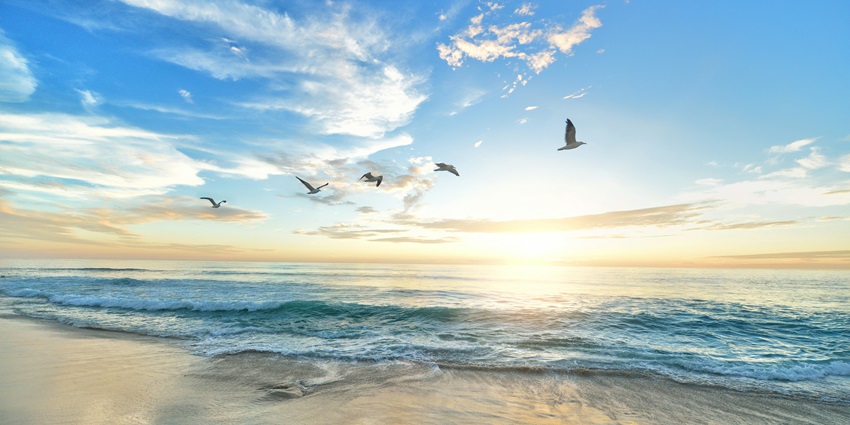 A stunning view of a beach with soft waves and a lot of birds flying over the waters.