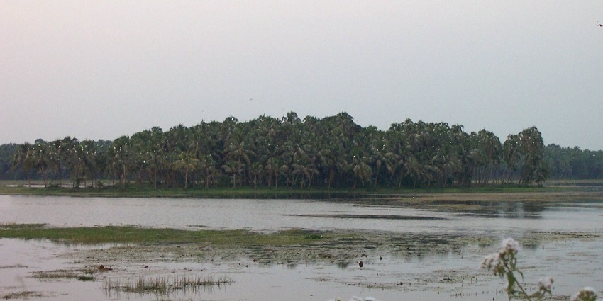 One of the most famous islands in Kerala