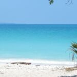 The view of this beach with its sands and azure waters, framed by lush greenery