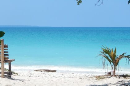 The view of this beach with its sands and azure waters, framed by lush greenery