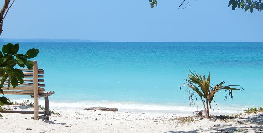 The view of this beach with its sands and azure waters, framed by lush greenery