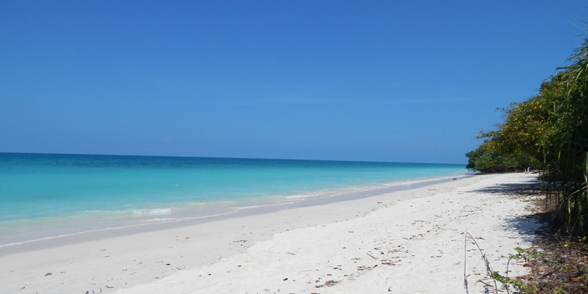 View of Kala Pathar Beach with its clear blue waters, sand and surrounded by lush greenery