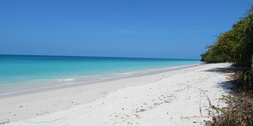 Kala Pathar Beach, on Havelock Island's eastern coast, is a serene place for trekking.