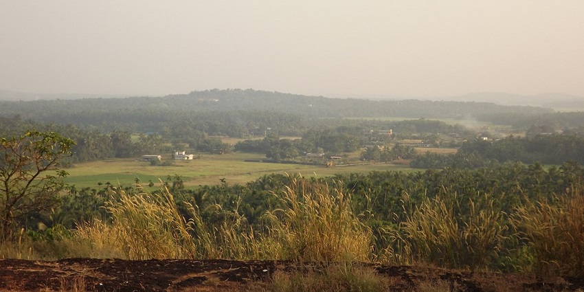 Narimada Hill is another name for Kalashamala, one of the hill stations in Thrissur