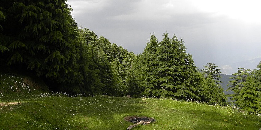 Visiting Kalatop Wildlifе Sanctuary is one of the best things to do in Dalhousie.