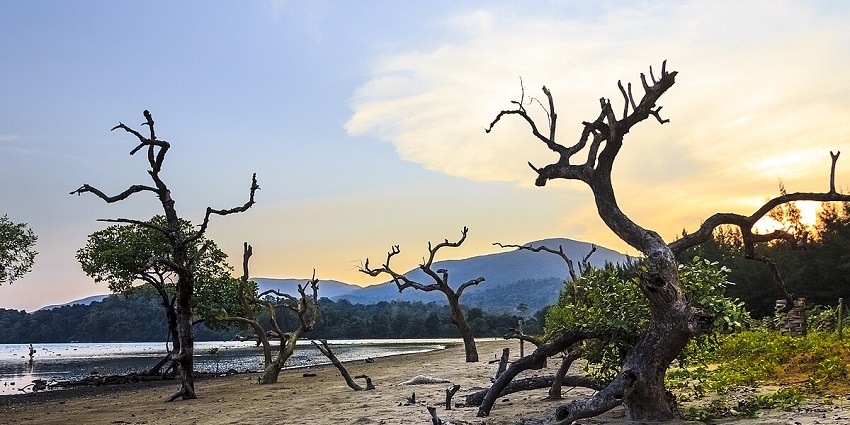 Dive deep into the water adventures of Kalipur Beach, Saddle Peak National Park.
