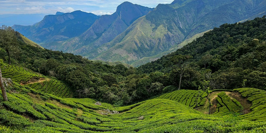 A quaint view of the Kalladikodan Hills, a tourist spot near Meenvallam Waterfalls.