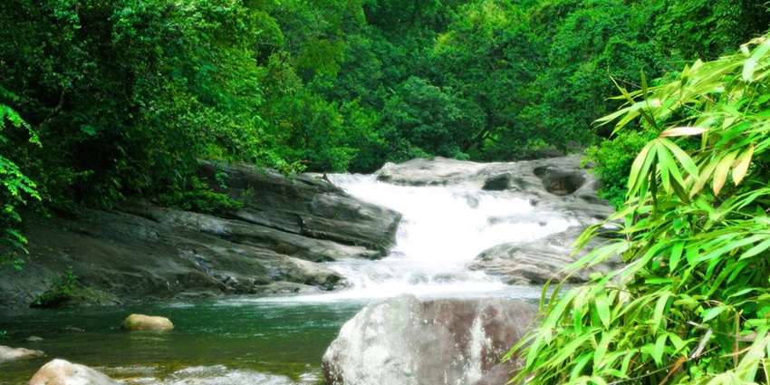 Watch the beautiful Kallar Waterfalls, one of the places to visit in Ponmudi, Kerala.