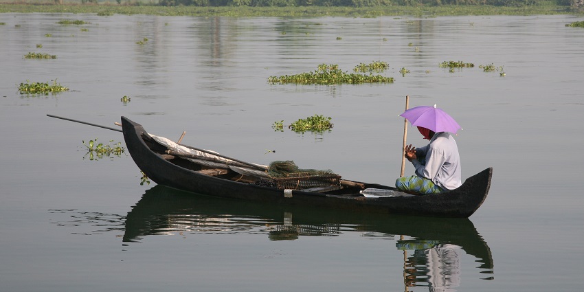 Glide through the backwaters on a houseboat on Kallara backwaters in Kottayam.