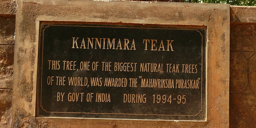 The signpost of the Kannimara Teak at the Parambikulam Wildlife Sanctuary in Kerala