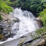 A majestic view of a waterfall surrounded by lush green trees flowing through a rock.