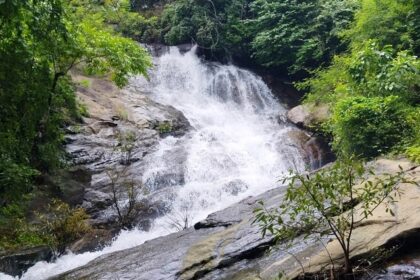 A majestic view of a waterfall surrounded by lush green trees flowing through a rock.