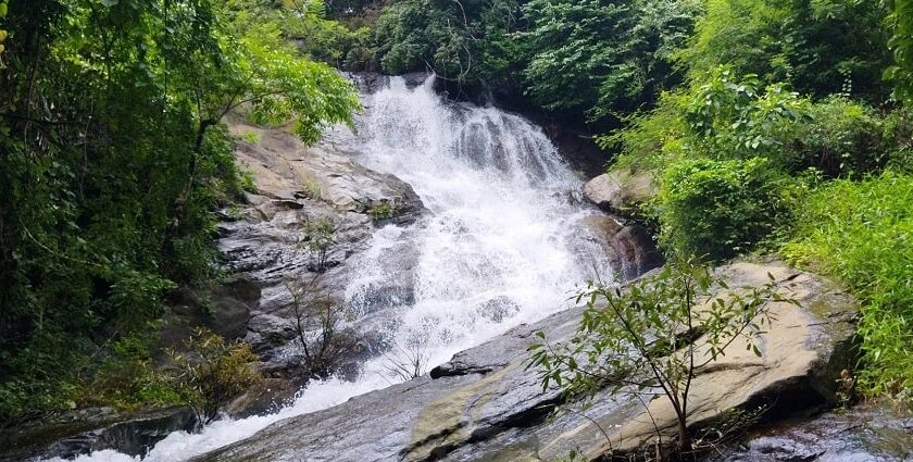 A majestic view of a waterfall surrounded by lush green trees flowing through a rock.