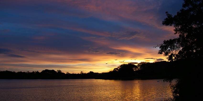 Explore things to do in Varkala, such as serene lakes, pristine beaches, and much more