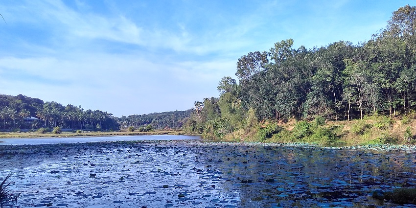 Explore the scenic beauty of the Karamana River located near the Aruvikkara Dam in Kerala
