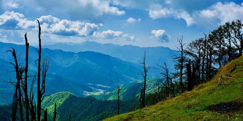 A view of a mountain range from a grassy hill