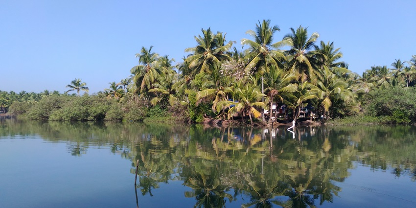 Golden sands of Kottappuram beach at Kasaragod with palm trees and gentle waves