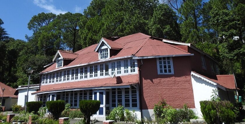 Colonial marvels like the Kasauli Circuit House are the best things to see here.