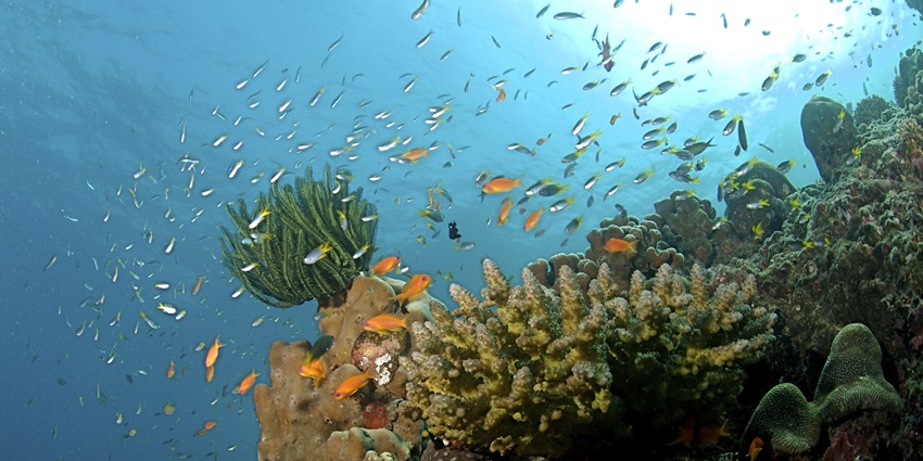 Katchal Island is the second largest of the islands and has historical significance.