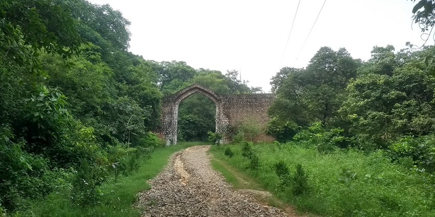 A beautiful view of the front gate of Jasrota Fort in Kashmir amongst lush green trees.
