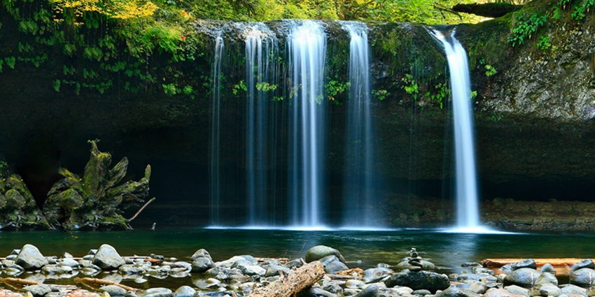 Kattoor waterfall is one of the most enchanting waterfalls in Kerala for everyone.