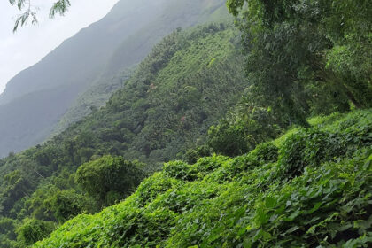 Serene landscape with lush greenery and scenic views - hill stations near Kerala