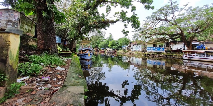 Kavu Sree Nagakaliamman Temple is one of the most-visited snake temples in Kerala.