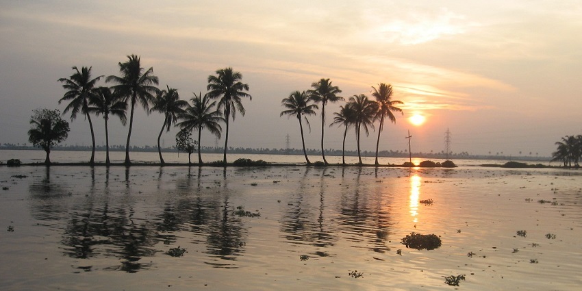 Sunset in Kerala Backwaters with palm trees