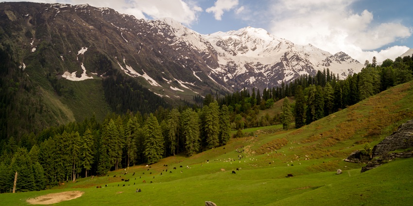Kazinag National Park is located in the valley of Gurez offering with picturesque views.