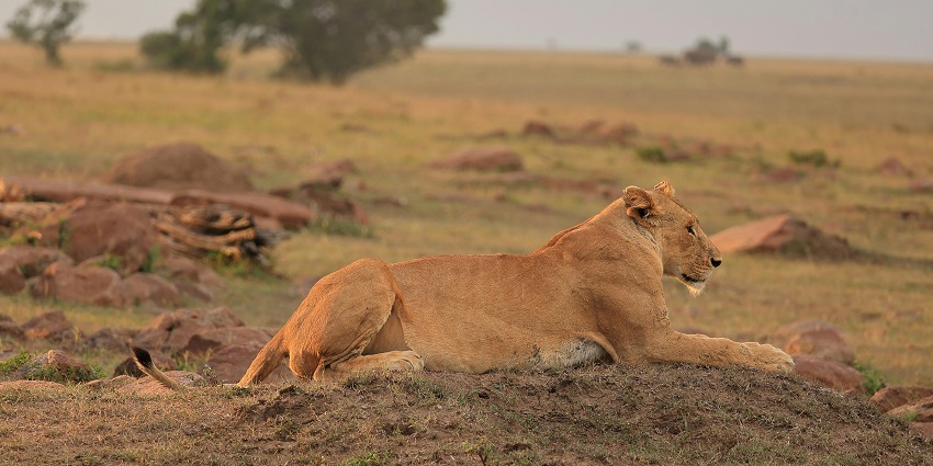 Discover the famous places to visit in the world in August for an unforgettable vacation