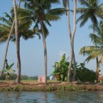 Kerala backwater, clear blue water and greenery surrounded - Private Islands in Kerala