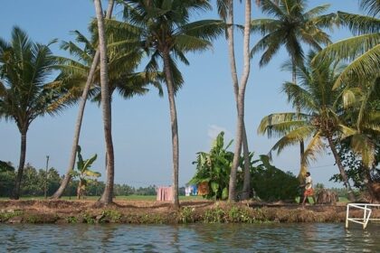 Kerala backwater, clear blue water and greenery surrounded - Private Islands in Kerala