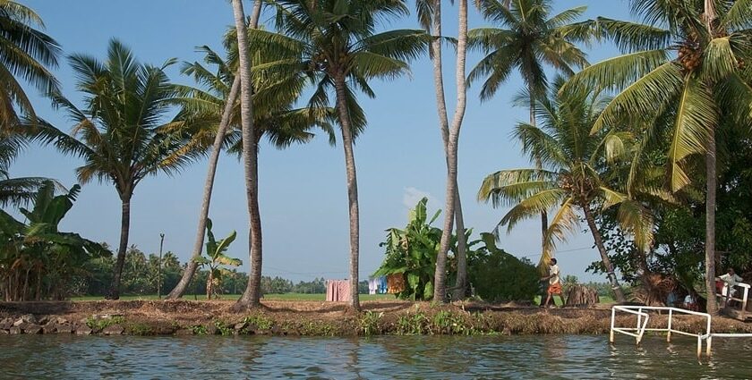 Kerala backwater, clear blue water and greenery surrounded - Private Islands in Kerala