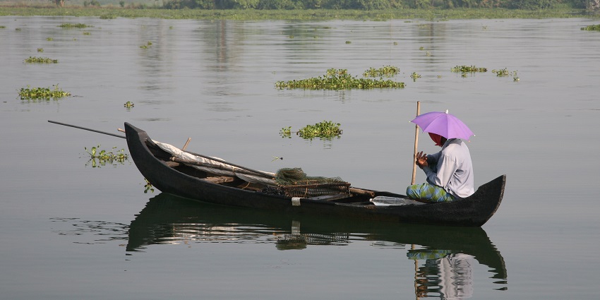 Backwater surrounded by lush green - Kottathavalam is one of the best places to visit