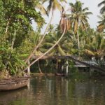 Scenic view of Kerala backwater canals amidst Palm trees - Places to visit near Kerala