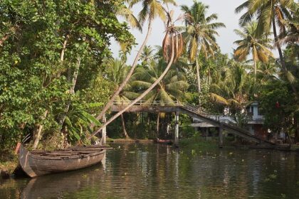 Scenic view of Kerala backwater canals amidst Palm trees - Places to visit near Kerala