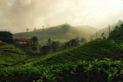 A lush green view of a valley in Kerala with a red-roofed house in the middle of the day.