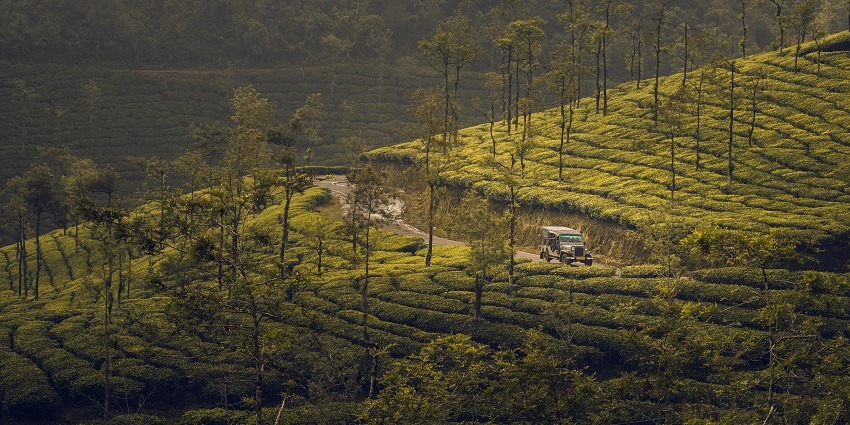 Cars Passing Through a Forest in Kerala to reach beautiful Thindillam Waterfall.
