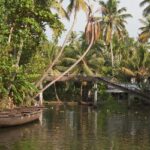 Picturesque sight of Kerala backwaters- one of the most scenic sights to visit in kerala