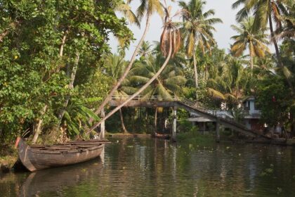 Picturesque sight of Kerala backwaters- one of the most scenic sights to visit in kerala