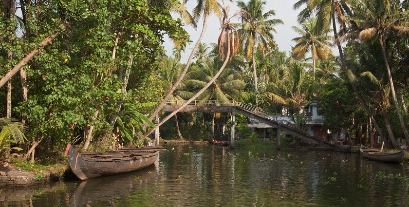 Picturesque sight of Kerala backwaters- one of the most scenic sights to visit in kerala