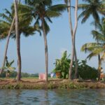 Kerala is known for its majestic backwaters and is known for its lush vegetation