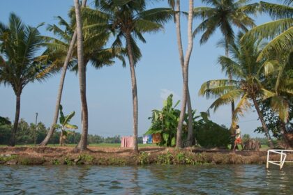 Kerala is known for its majestic backwaters and is known for its lush vegetation