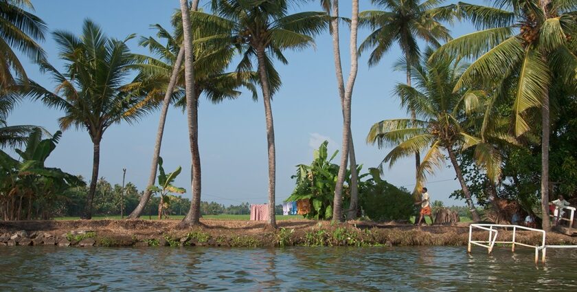 Kerala is known for its majestic backwaters and is known for its lush vegetation