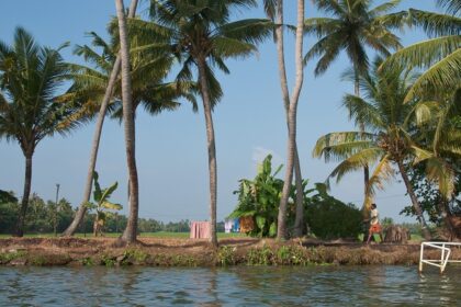 Natural landscape like palm trees and backwaters offer various places to visit in Kerala during June.