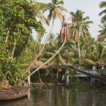 Kerala, along with its scenic natural landscapes, houses enormous backwaters and temples.